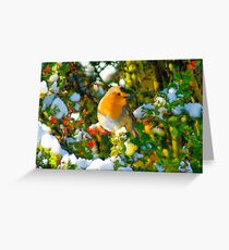 Robin in his element Greeting Card