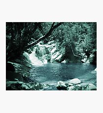 Forbidden Forest Pool Photographic Print