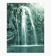 Forest Waterfall Photographic Print