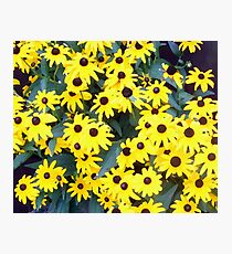 Yellow Photographic Print