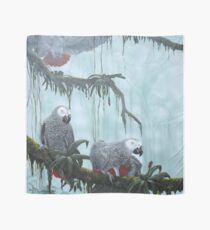 African grey Parrots. Flying free Scarf