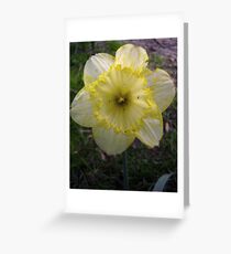 Yellow/White Mix Greeting Card