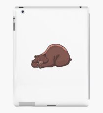 Schlafender Bär iPad-Hülle & Klebefolie
