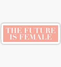 The Future is Female - Pink Sticker