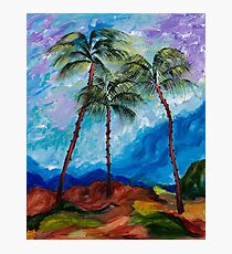 Three Palms Photographic Print