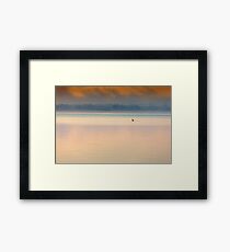 Gippsland Lakes 'Lone Swan' Framed Print