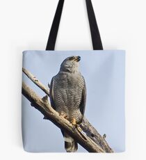 Gray Hawk Tote Bag