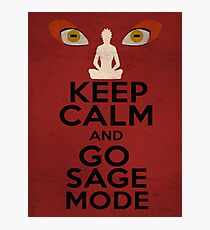 sage mode poster Photographic Print
