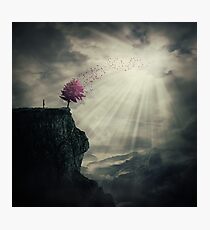tree of life Photographic Print