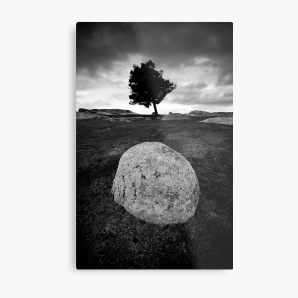 Black and White Egg Metal Print