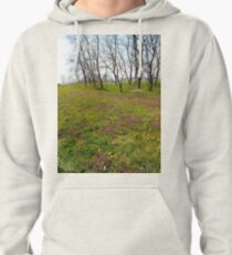 Happiness, Building, Skyscraper, New York, Manhattan, Street, Pedestrians, Cars, Towers, morning, trees, subway, station, Spring, flowers, Brooklyn Pullover Hoodie