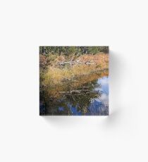 Reflected Nature Acrylic Block