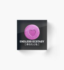 Endless Ecstasy Acrylic Block