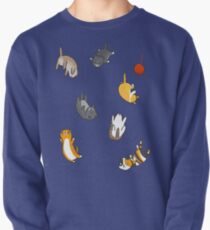 Kitten Rain Pullover