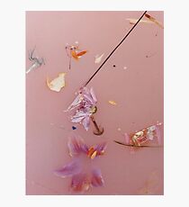 Harry Styles Flower Pattern Photographic Print