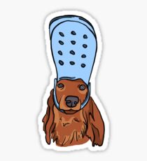 Sexy Sausage Dog With Croc Sticker
