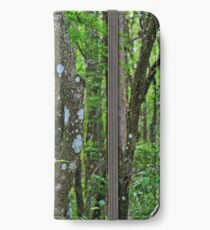 Swamp Song iPhone Wallet/Case/Skin