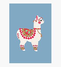 The Alpaca Photographic Print