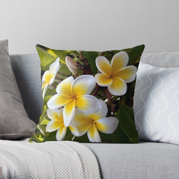 Frangipani Blossoms Throw Pillow