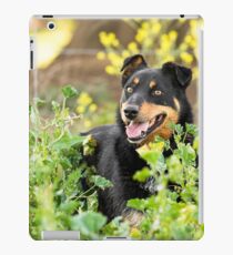 Playful Dog iPad Case/Skin