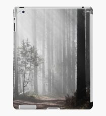 30.4.2018: Rays of Light II iPad Case/Skin