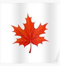 Maple Leaf Poster