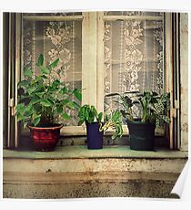 _ plants _ Poster