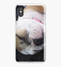 Bulldog Puppy iPhone Case
