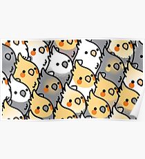 Chubby Cockatiel Party Poster