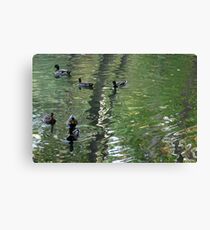 Ducks on Painted Water Canvas Print