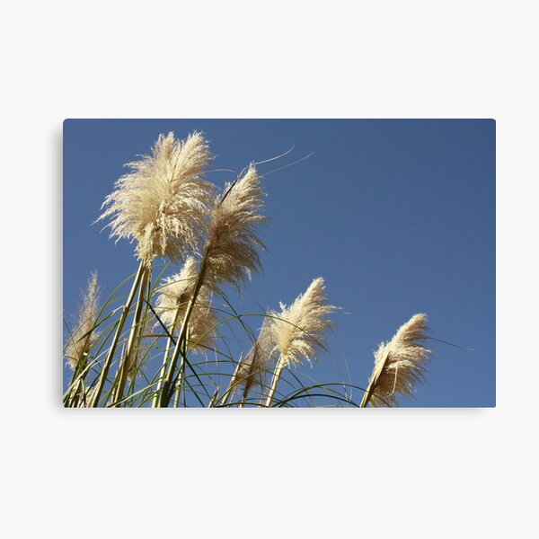 . Canvas Print