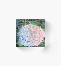 HYDRANGEA by H.Lin Acrylic Block