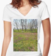 Happiness, Building, Skyscraper, New York, Manhattan, Street, Pedestrians, Cars, Towers, morning, trees, subway, station, Spring, flowers, Brooklyn Women's Fitted V-Neck T-Shirt