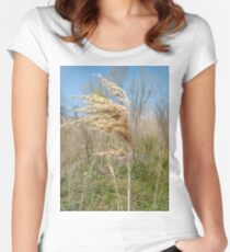 Happiness, Building, Skyscraper, New York, Manhattan, Street, Pedestrians, Cars, Towers, morning, trees, subway, station, Spring, flowers, Brooklyn, nature Women's Fitted Scoop T-Shirt