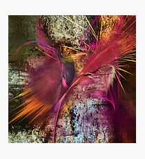 Cargo Photographic Print