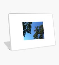Sky Through The Trees Laptop Skin