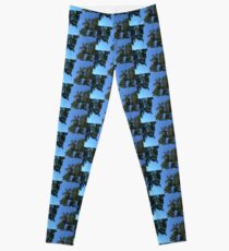 Sky Through The Trees Leggings