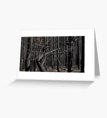 Bushfires 4 Greeting Card