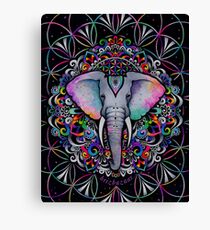 Flower Power Canvas Print