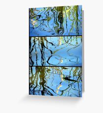 Pond Life - Triptych Greeting Card