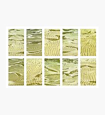 Deep in the Shallows Photographic Print
