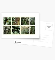 Alpine Rainforest Postcards