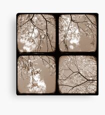 Look Through My Window - TTV Canvas Print
