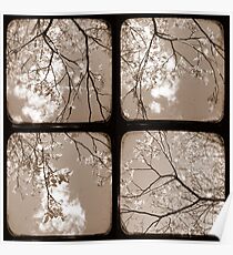 Look Through My Window - TTV Poster
