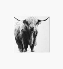 Newspaper Print Style Highland Coo Art Board