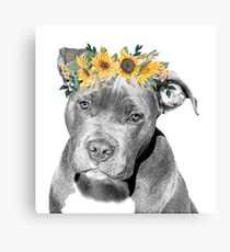 Pit Bull With Sunflower Flower Crown Canvas Print