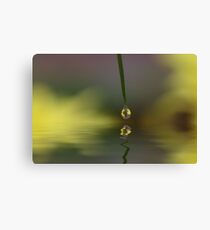 Small Drop Canvas Print