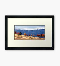 Autumn Parade Framed Print