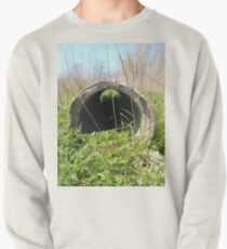 Grass, Happiness, Building, Skyscraper, New York, Manhattan, Street, Pedestrians, Cars, Towers, morning, trees, subway, station, Spring, flowers, Brooklyn Pullover