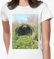 Grass, Happiness, Building, Skyscraper, New York, Manhattan, Street, Pedestrians, Cars, Towers, morning, trees, subway, station, Spring, flowers, Brooklyn Women's Fitted T-Shirt